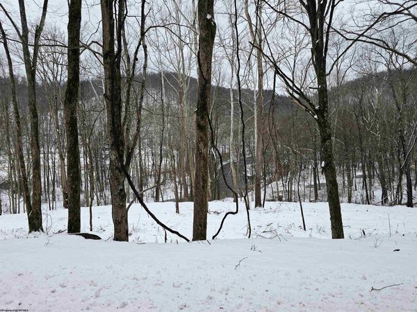 TBD Irontown Road, Independence, WV 26374