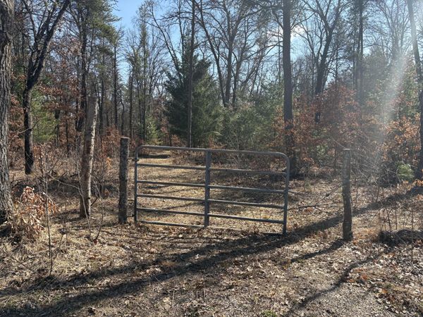 5222 S Broadway Road, Idlewild, MI 49642