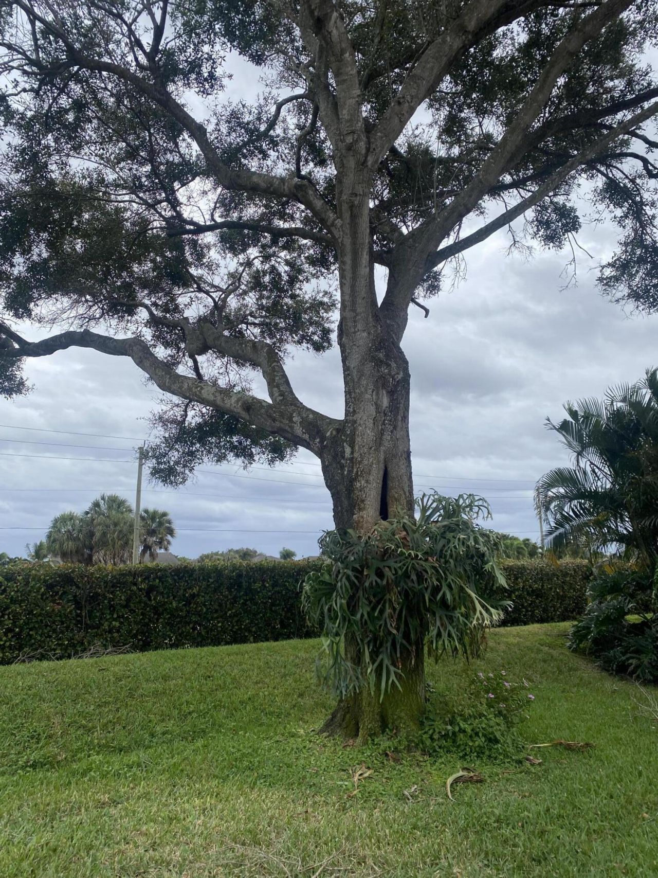 6115 Bay Isles Drive, Boynton Beach, FL 33437 Photo