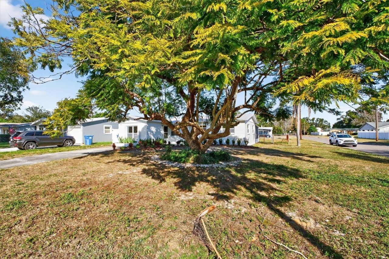 5701 14th Avenue N, Saint Petersburg, FL 33710 Photo