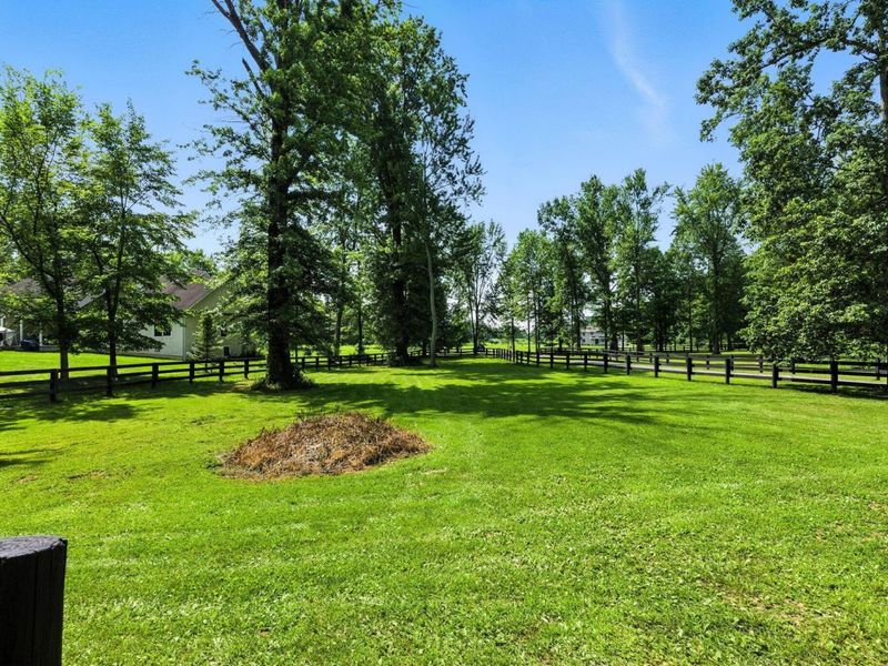 8174 Windy Hollow Road, Johnstown, OH 43031 Photo 60