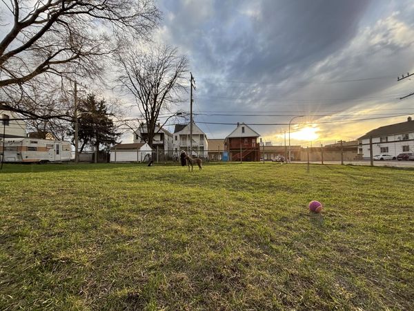 2222 Grayling Street, Hamtramck, MI 48212