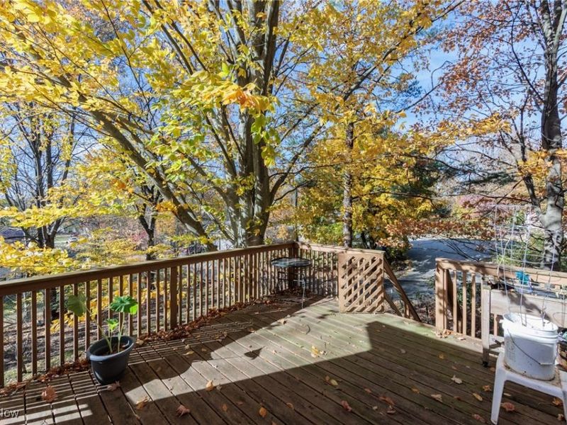 6181 Washington Street, Ravenna, OH 44266 Photo 44