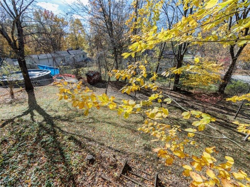 6181 Washington Street, Ravenna, OH 44266 Photo 46