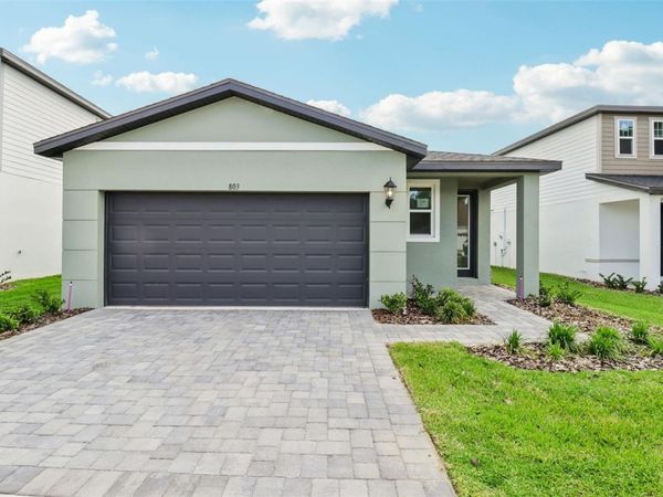 803 SUNSHOWER DRIVE, LADY LAKE, FL 32159