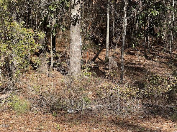 0 Jacob Main St. Street, Cottondale, FL 32431