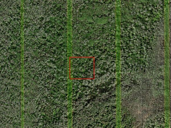 0 HOLOPAW GROVES RD, St. Cloud, FL 34772