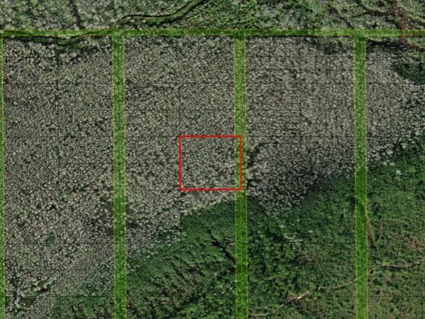 0 HOLOPAW GROVES RD, St. Cloud, FL 34772