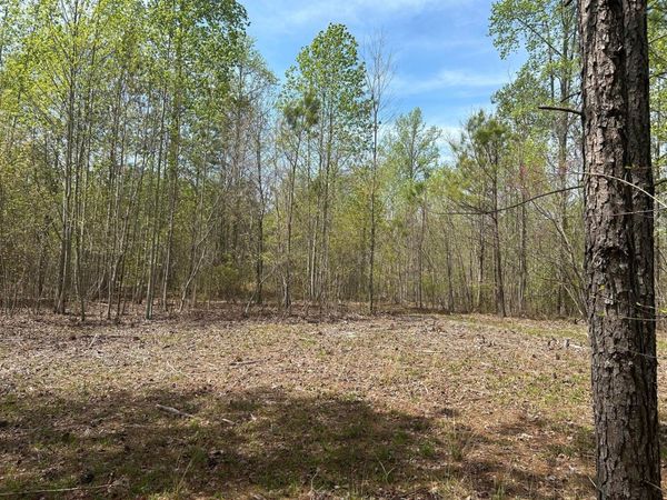 6390 Raulston Falls Rd, Unit 94, Jasper, TN 37347
