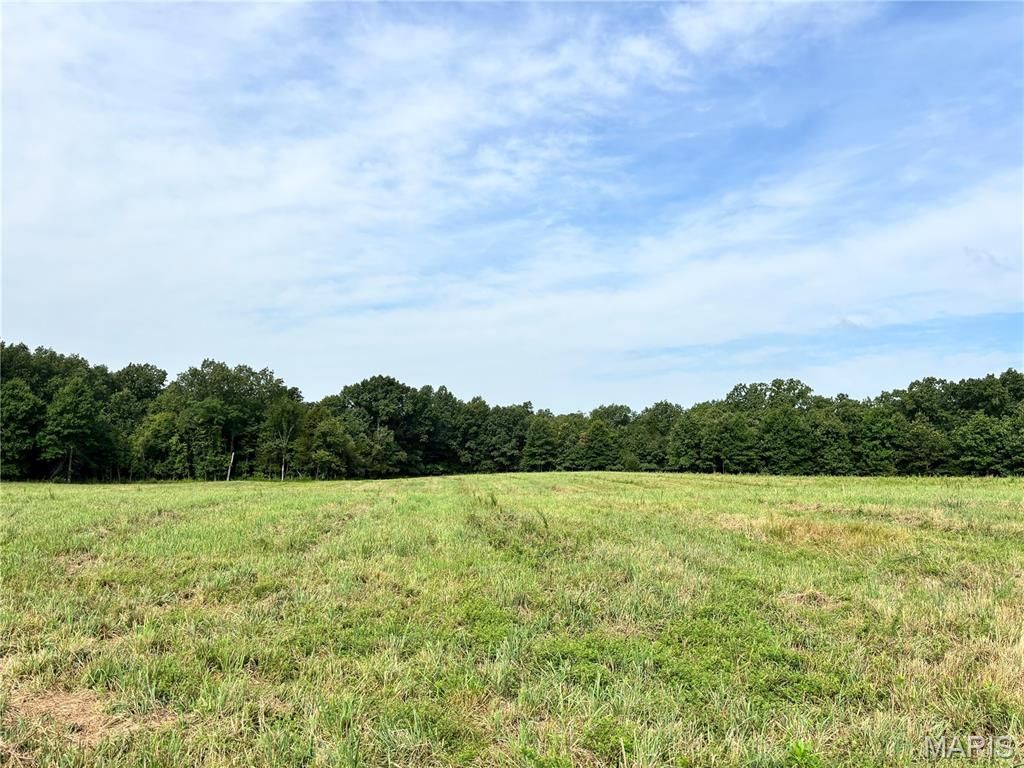 Lot 1 Springview Farms, Marthasville, MO 63357 Main Photo