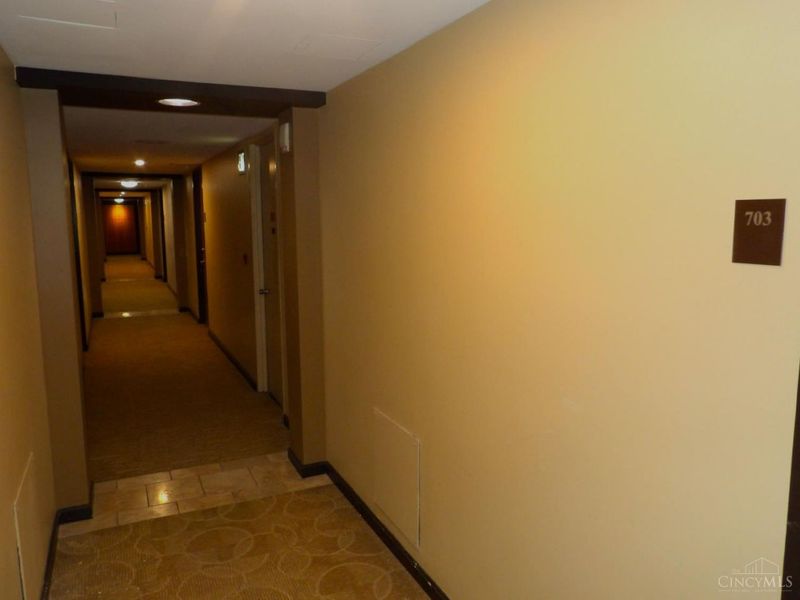 810 Matson Place, Unit 703, Cincinnati, OH 45204 Photo 36