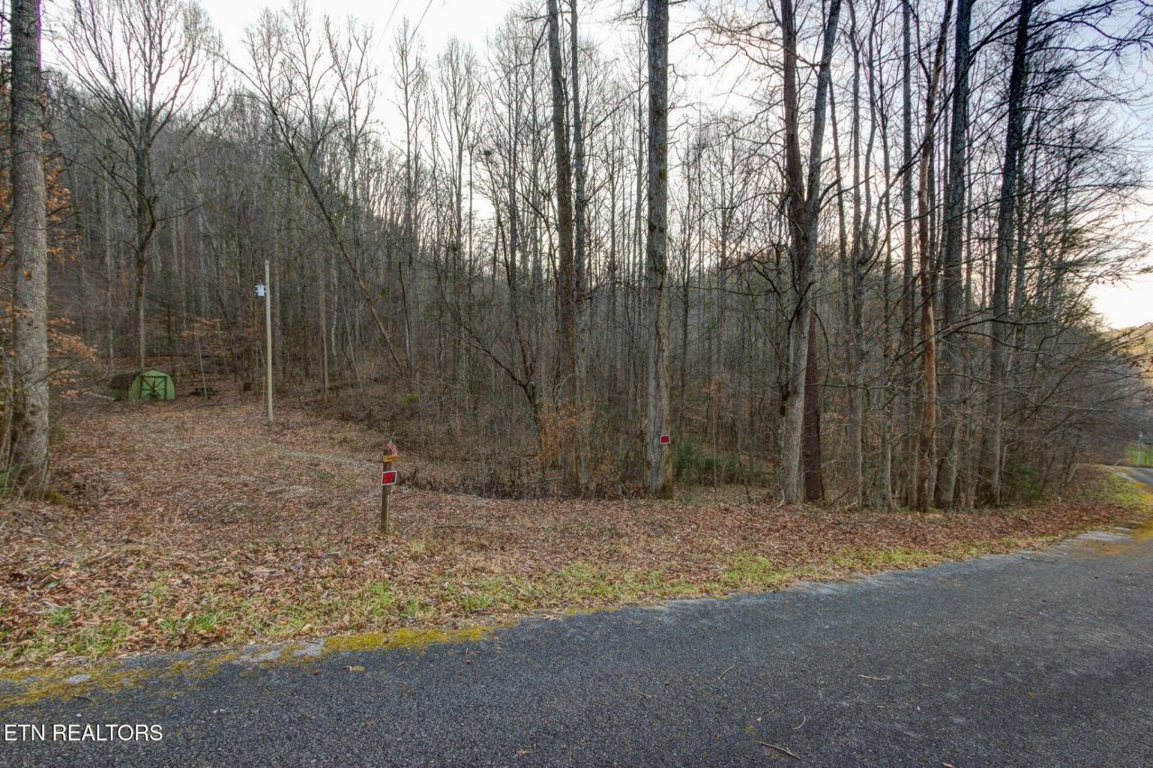 4120 Highland Rd, Cosby, TN 37722 Main Photo