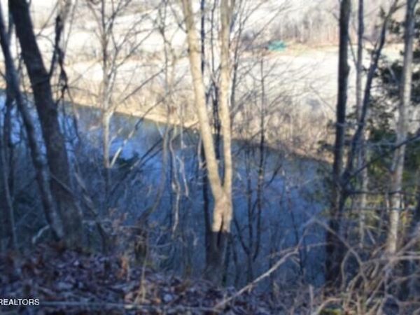 5.52ac Cabin Hill Rd , Celina, TN 38551