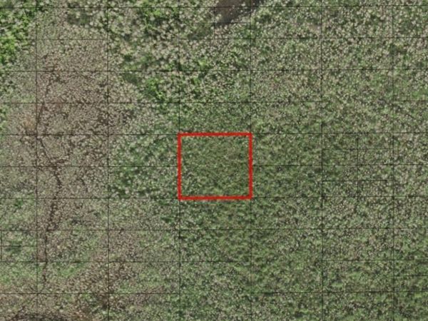 0 HOLOPAW GROVES RD, St. Cloud, FL 34772