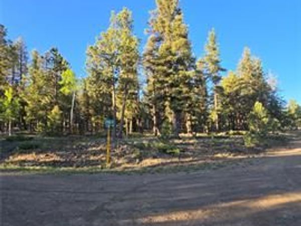 Chubb Court, Buena Vista, CO 81211