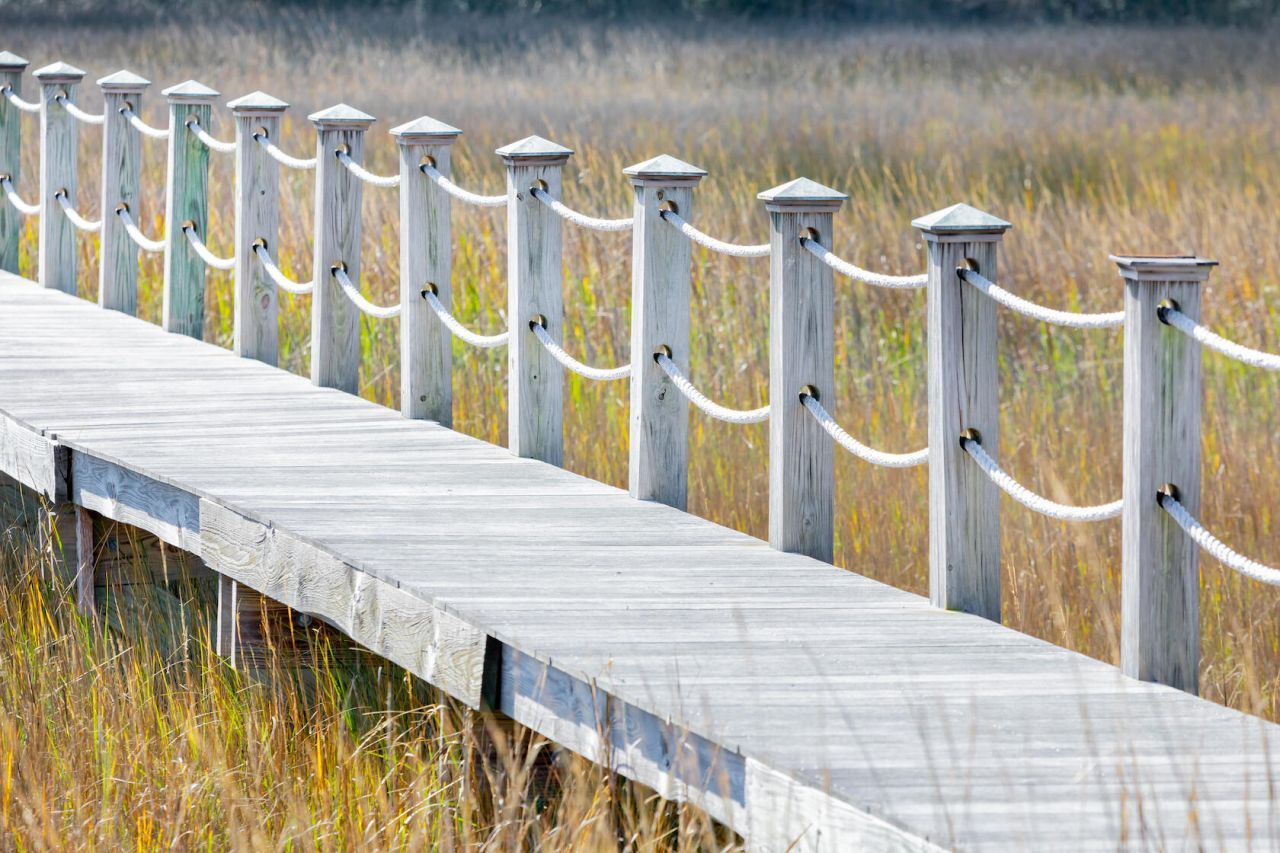 1710 Vireo Court Photo 22