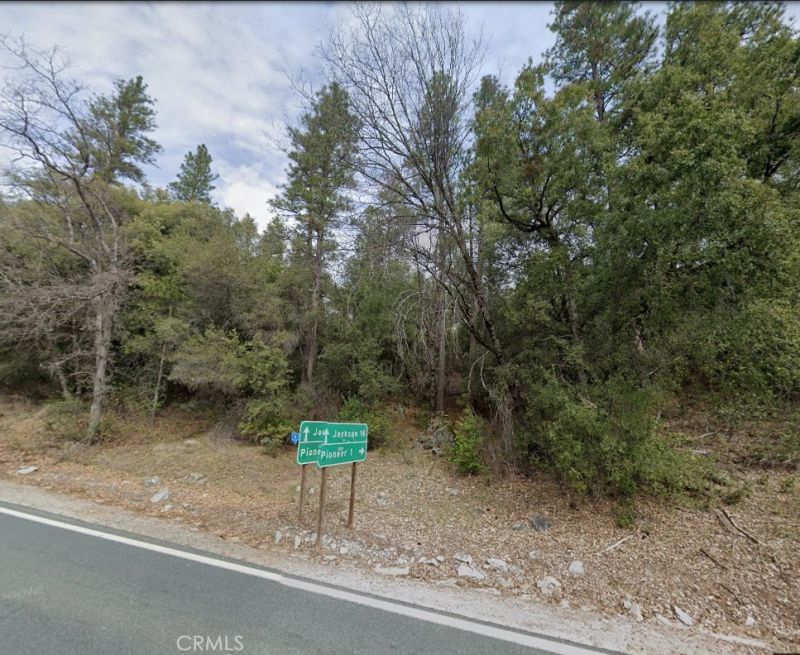 14730 Joyce Road, Pioneer, CA 95666 Main Photo