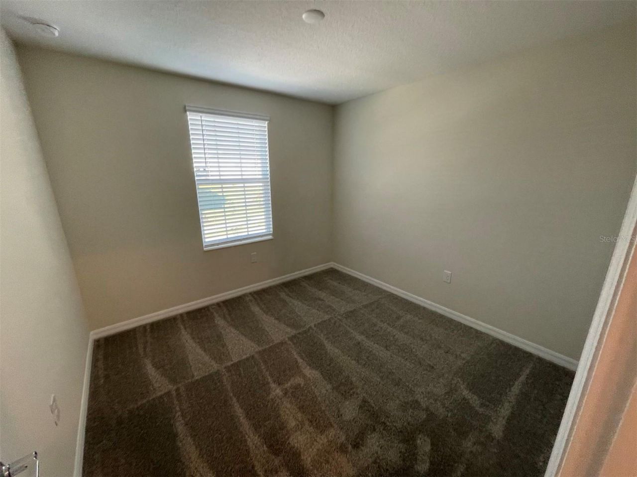 2896 Muller Oak Loop, Ocoee, FL 34761 Photo
