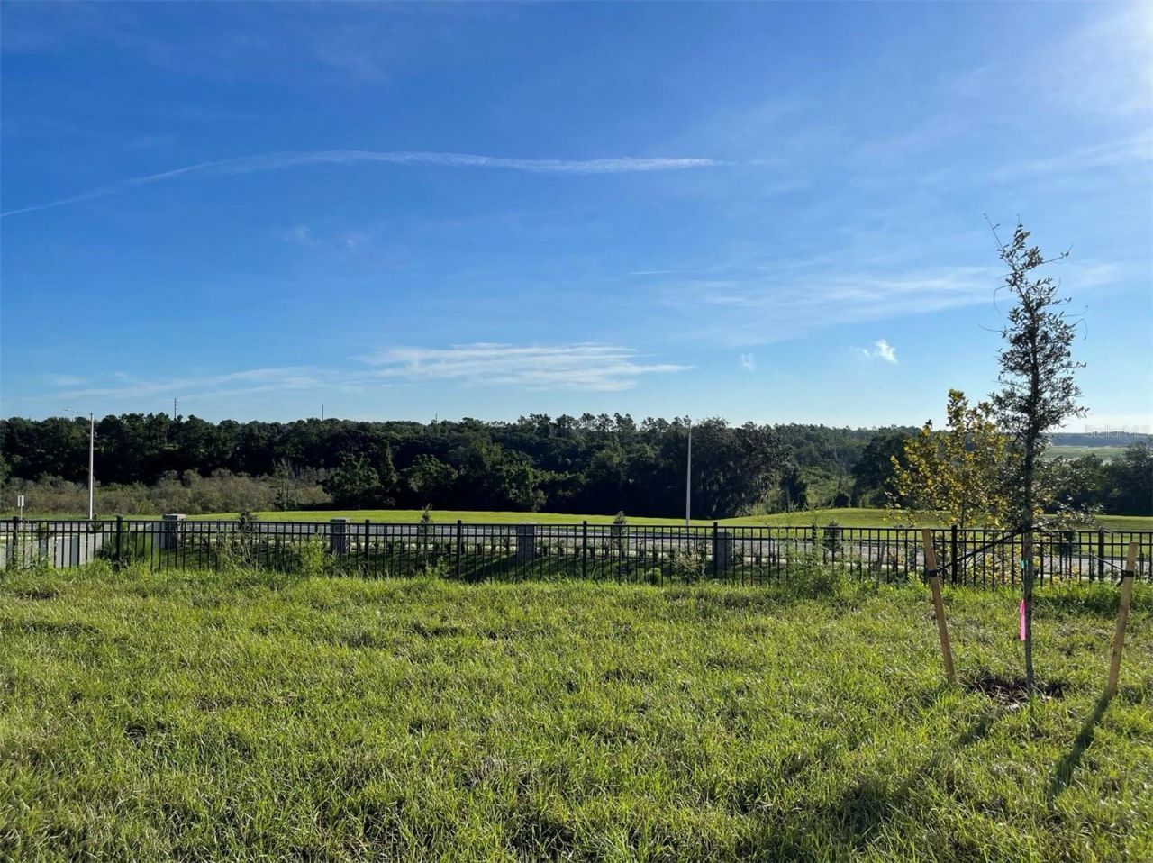 2896 Muller Oak Loop, Ocoee, FL 34761 Photo