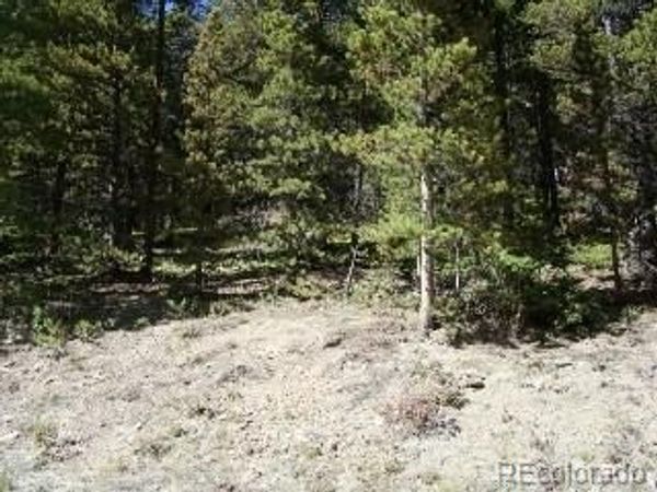 Lot 680 Alice Road , Idaho Springs, CO 80453