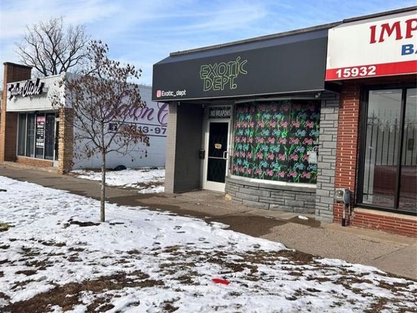 15934 W McNichols Road, Detroit, MI 48235