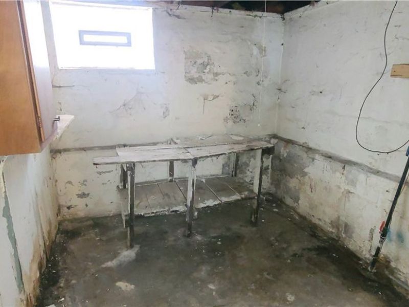 14819 Hale Avenue, Cleveland, OH 44110 Photo 42