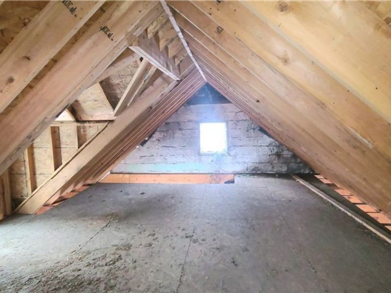 14819 Hale Avenue, Cleveland, OH 44110 Photo 9