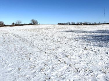 TBD County Road 7, Howard Lake, MN 55349