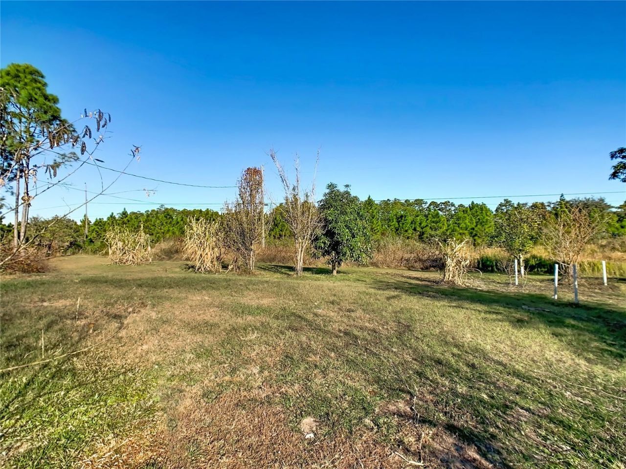 2850 Poinciana Drive, Indian Lake Estates, FL 33855 Photo