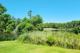 192 Hamby Dr.  photo 4