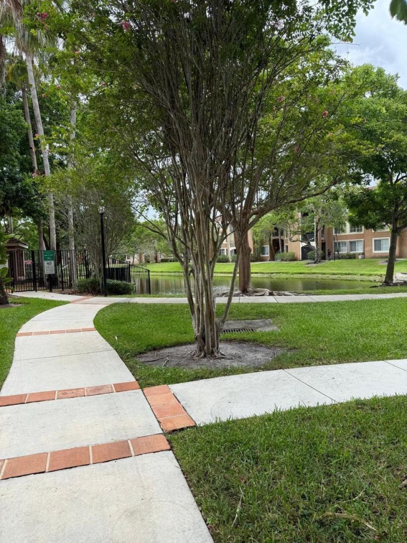 4852 N State Road 7, Unit 204, Coconut Creek, FL 33073 Photo