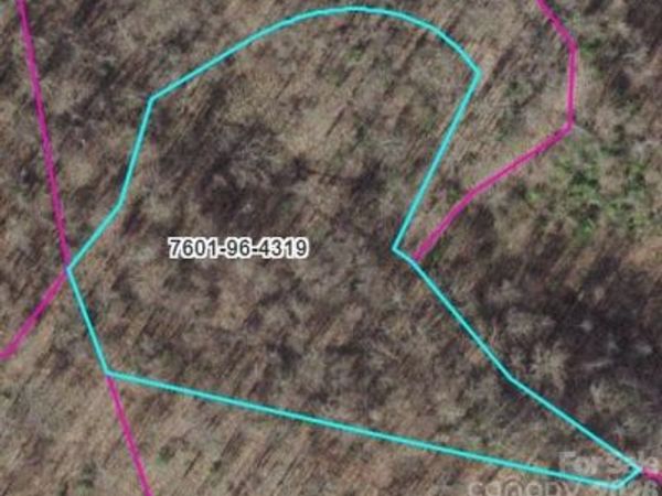 TR I Barkers Creek Road, Whittier, NC 28789