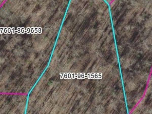 TR B Barkers Creek Road, Whittier, NC 28789