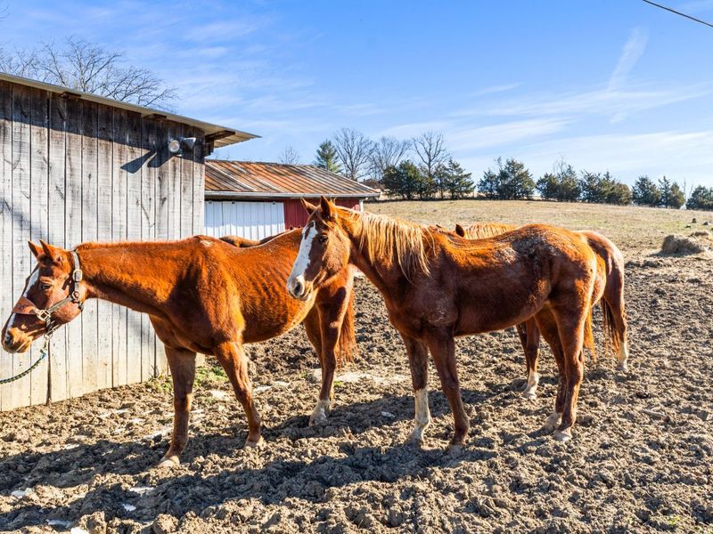 6116 Highway 17, Demossville, KY 41033 Photo 3