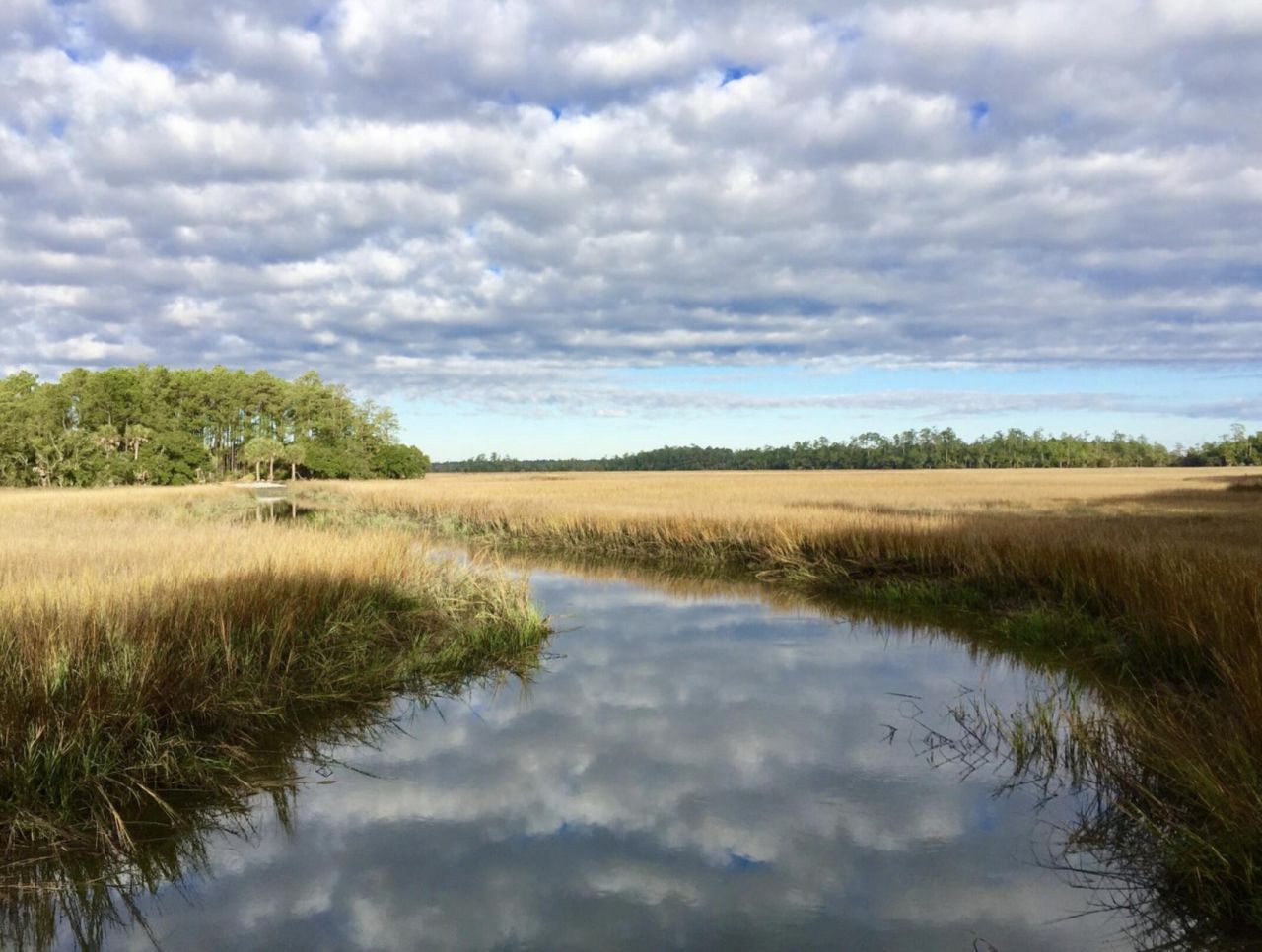 738 Hibbens Grant Boulevard Photo 57