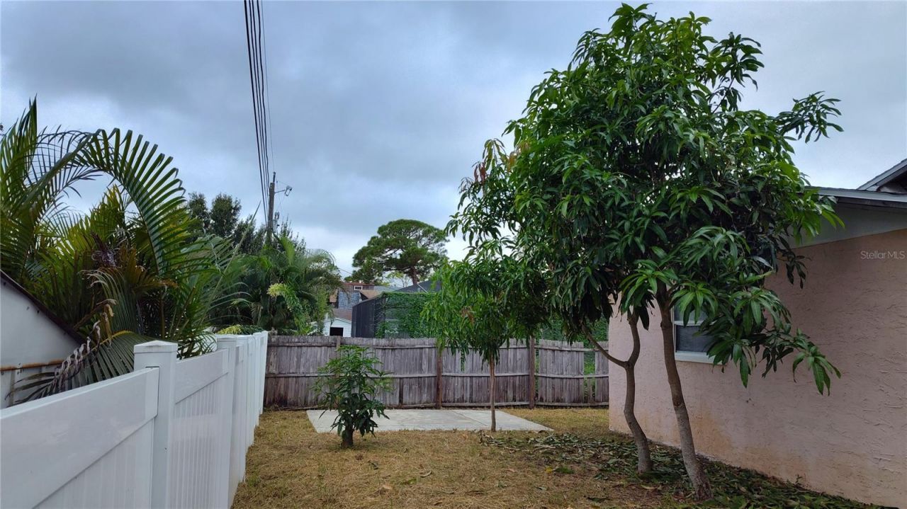 1762 Nevada Avenue Ne, Saint Petersburg, FL 33703 Photo