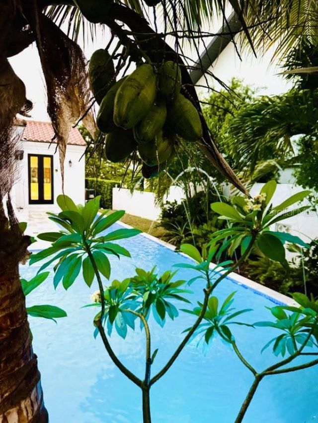 1234 W Ivanhoe Boulevard, Orlando, FL 32804 Photo