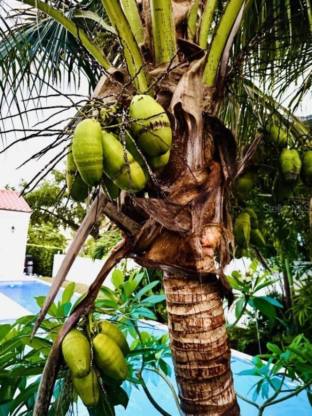 1234 W Ivanhoe Boulevard, Orlando, FL 32804 Photo