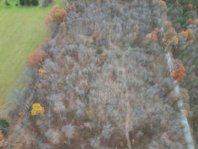 7109 Spencer Clark Road NE, Burghill, OH 44404 Photo 5