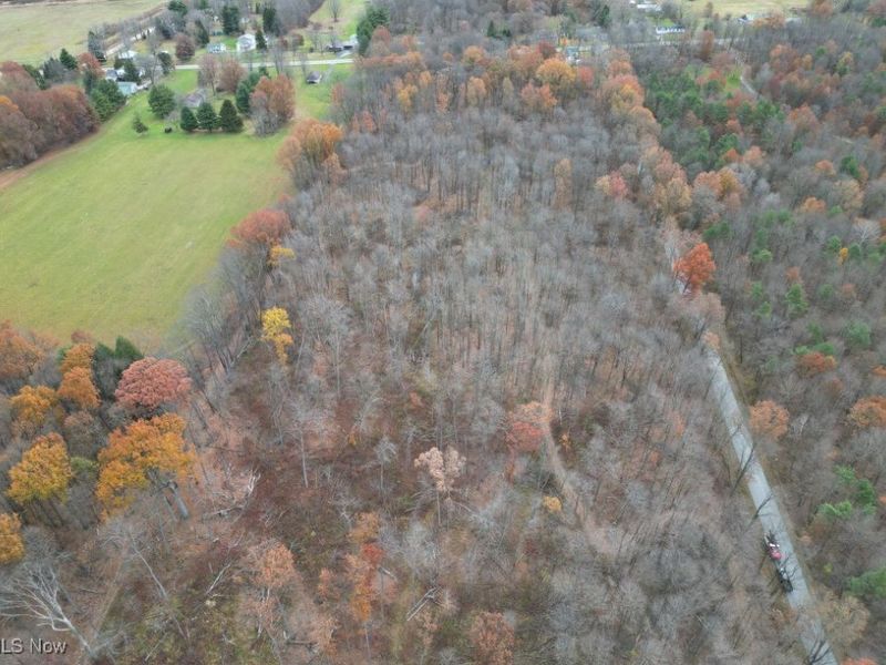 7109 Spencer Clark Road NE, Burghill, OH 44404 Photo 6