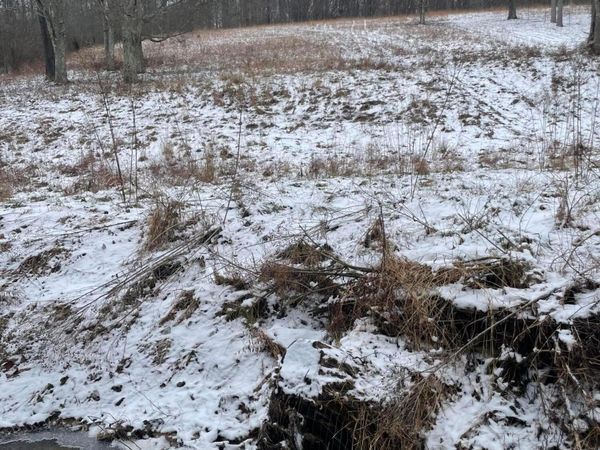 15860 Stump Run, Laurelville, OH 43135