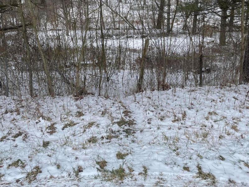 15860 Stump Run, Laurelville, OH 43135 Photo 2