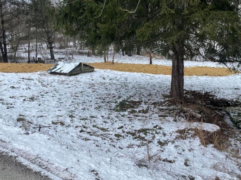 15860 Stump Run, Laurelville, OH 43135 Photo 4