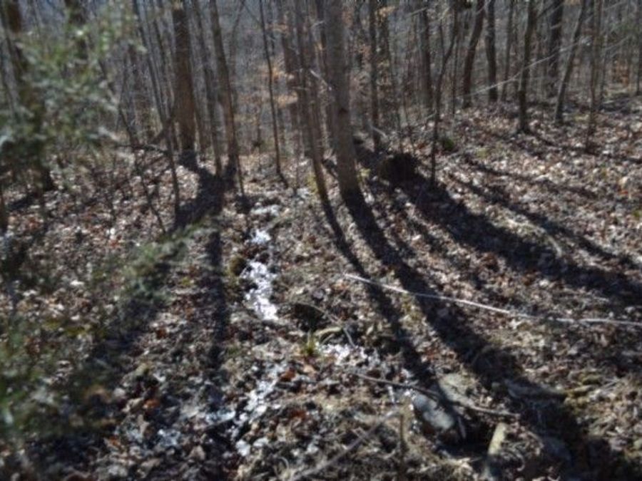 Property Image 55