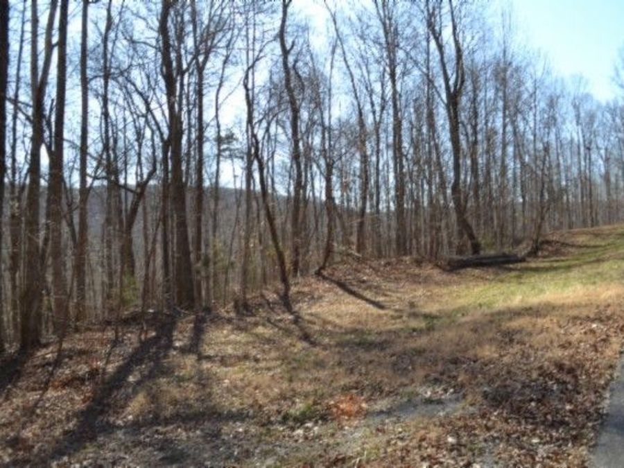 Property Image 85