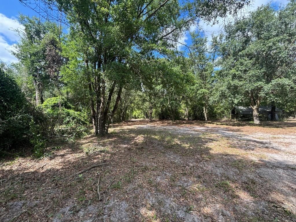 423 NW Bright Lake Court, White Springs, FL 32096 Photo