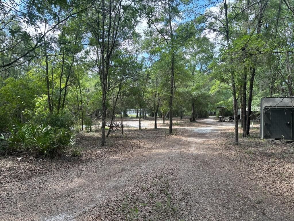 423 NW Bright Lake Court, White Springs, FL 32096 Photo