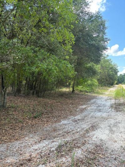 423 NW Bright Lake Court, White Springs, FL 32096 Photo