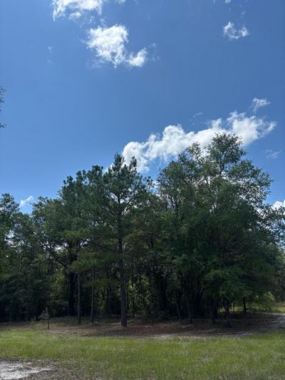 423 NW Bright Lake Court, White Springs, FL 32096 Photo