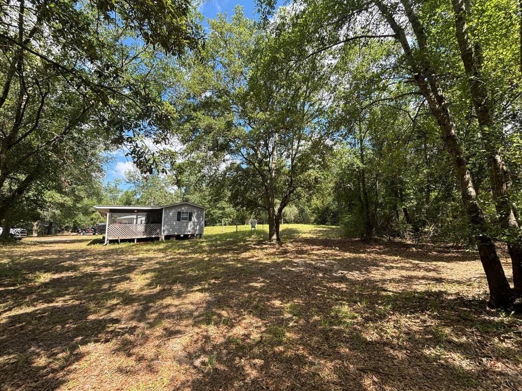 423 NW Bright Lake Court, White Springs, FL 32096 Photo